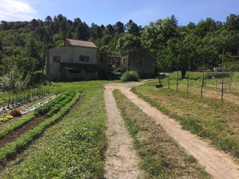 Deux Chambres D Hotes Attenantes Avec Salon Salle A Manger Privatif En Cevennes Gardoises 圣让杜加尔 外观 照片